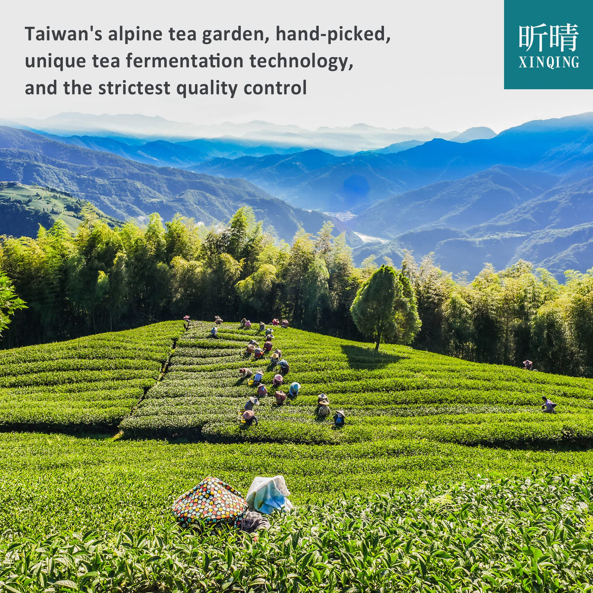 Gunpowder Green Tea Gunpowder Tea 200g