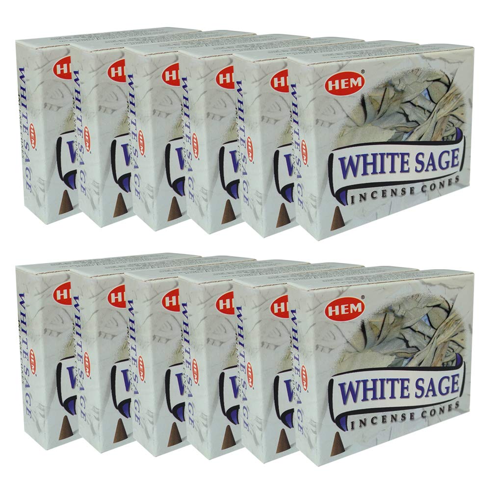 White Sage Incense Cones and Cone Incense Burner Bundle Insence Insense Hem Incense (White Sage Cone)