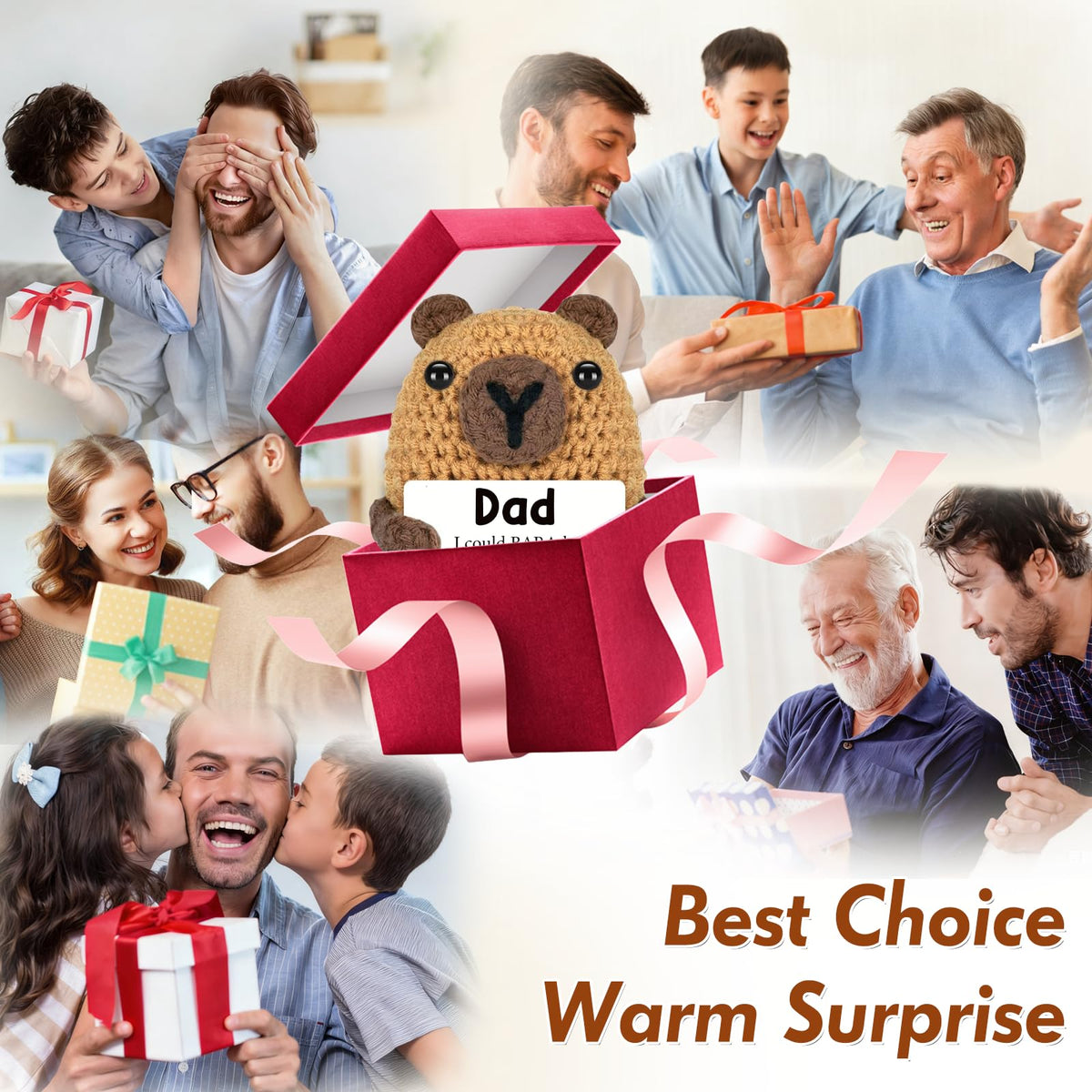 Fathers Day Funny Gifts for Father (DAD)