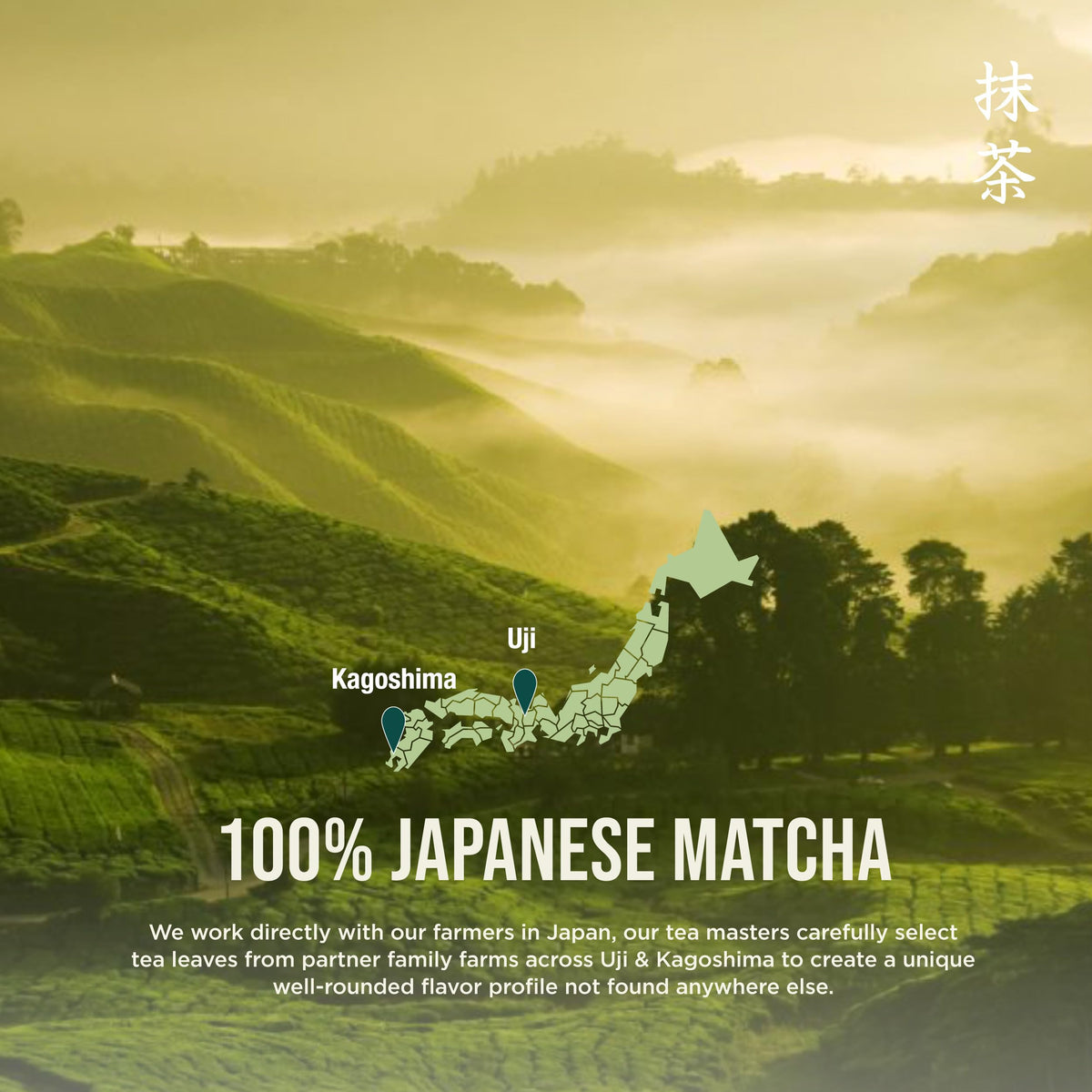 Jade Leaf Ceremonial Grade Matcha Powder (16 oz (Pack of 1))