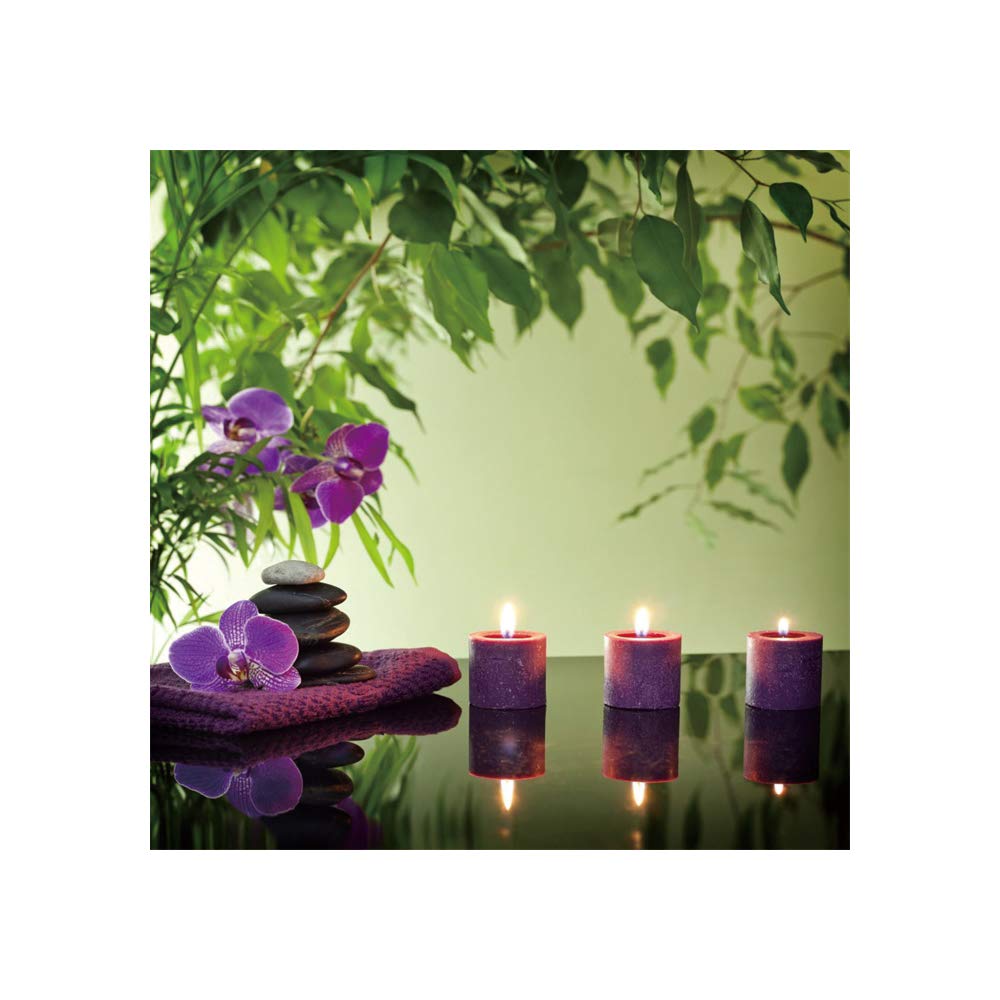 Spa Shower Curtain Basalt Stones Purple Aromatic Candles Flowers Bath Towel Green Plants Beautiful Relaxing Still Life Art Bath Curtain Waterproof Fabric Bathroom Decor Set with Hooks 72x72inch (72"W x 72"L (Pack of 1) / Green 04)