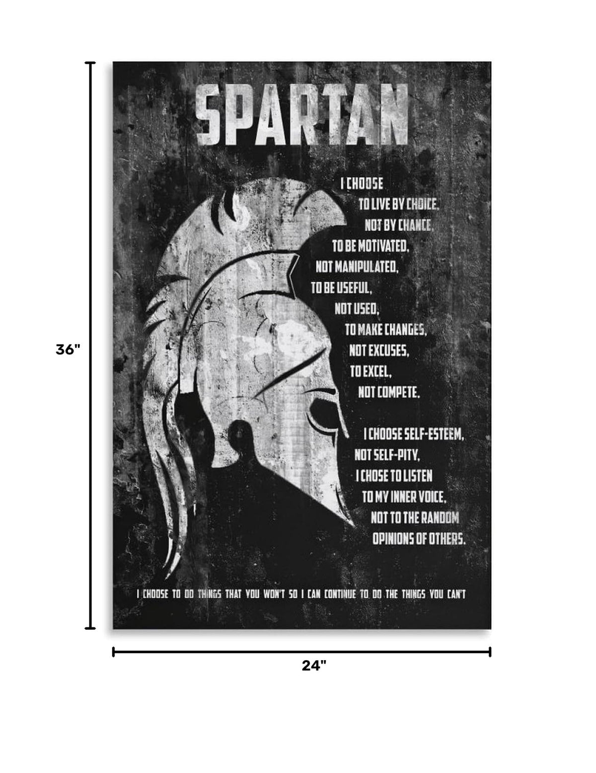 Spartan Motivational Quote Canvas Printing Wall Art Prints Wall Decor Posters Black White Distressed Helmet Philosophy Nordic Living Room Bedroom Office Gym Decor 24x36inch (style-20 / 24x36inch(60x90cm) Unframe)