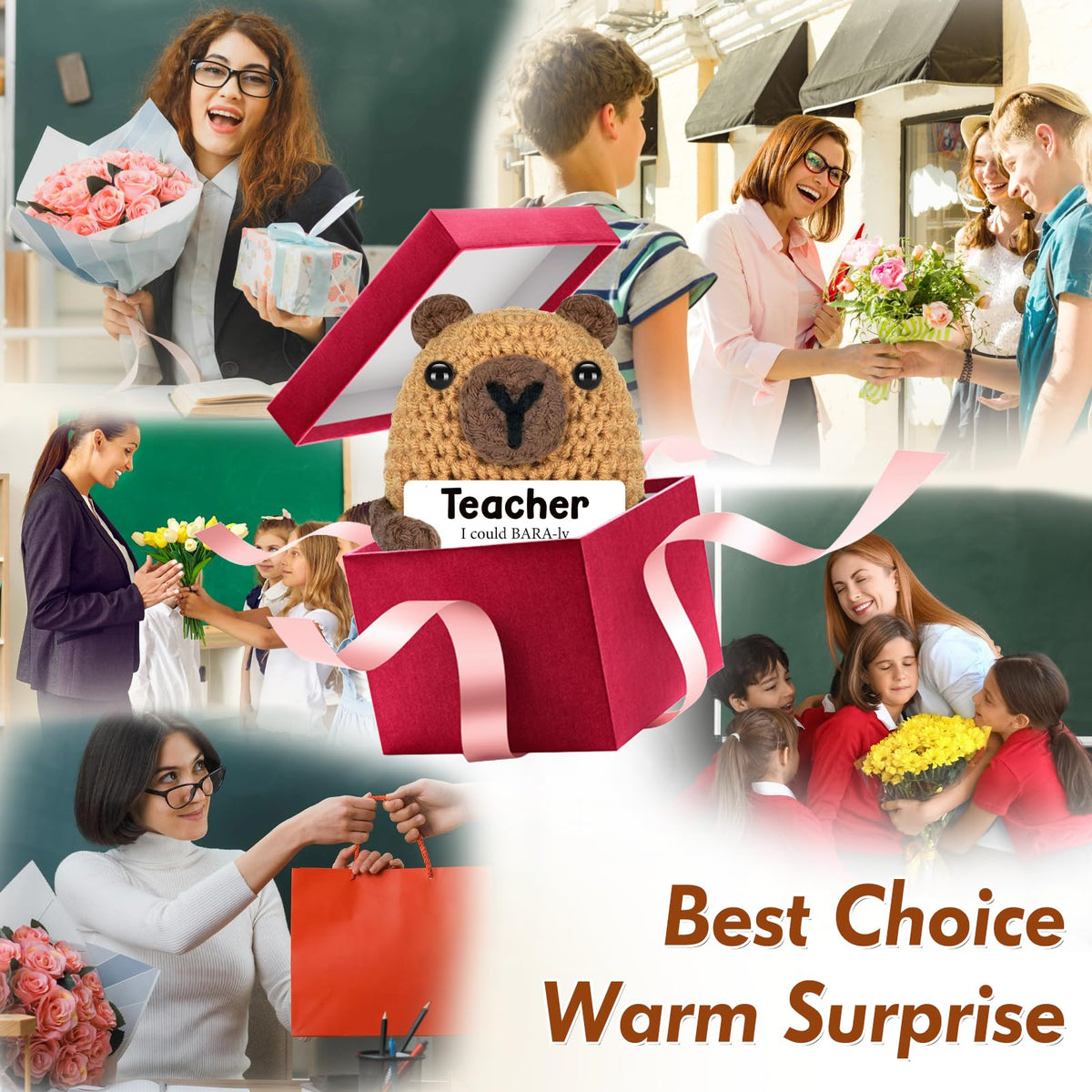 Teacher Appreciation Gifts in Bulk for Men Women (Teacher)