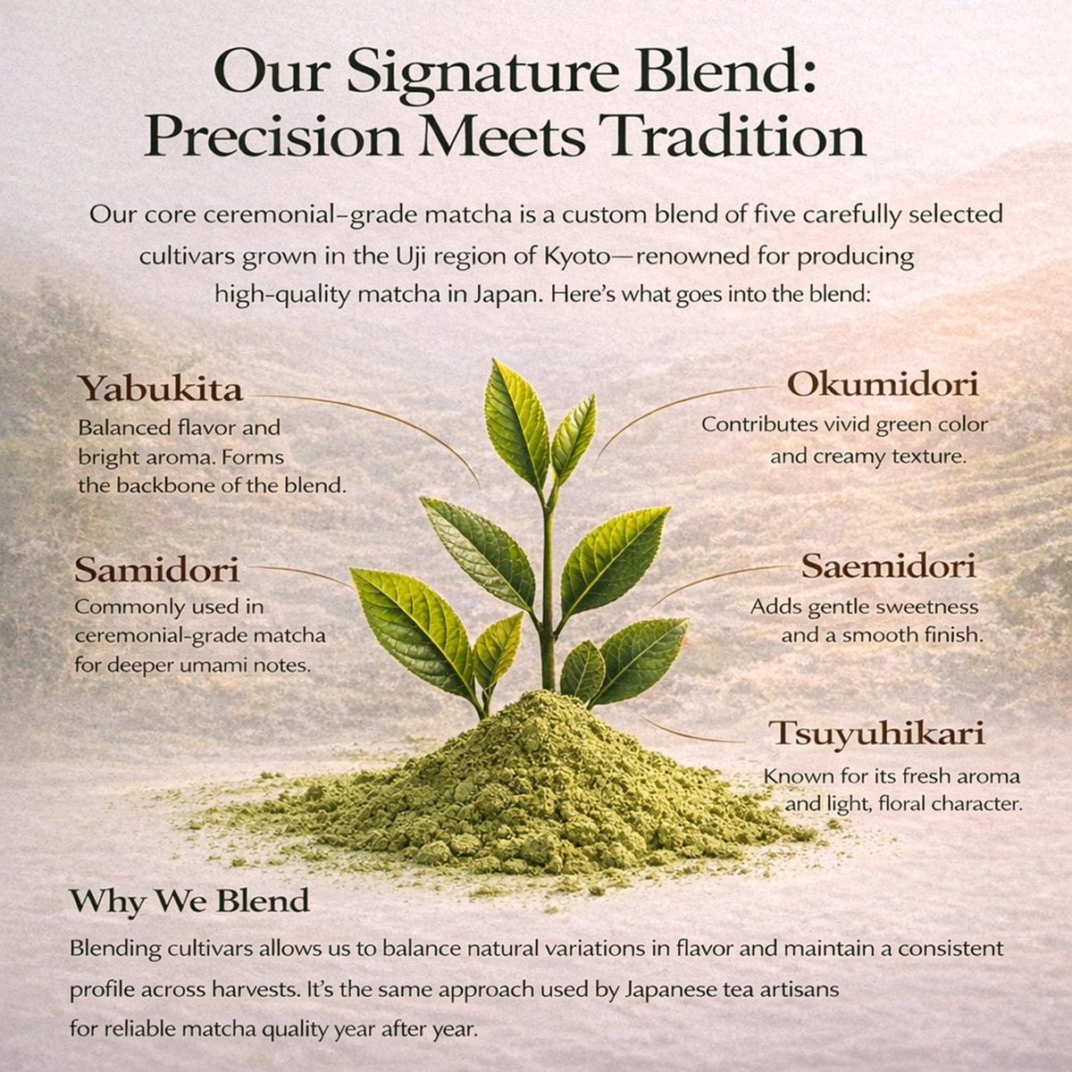 Organic Ceremonial Grade Matcha Powder 200g (7 Ounce (Pack of 1))