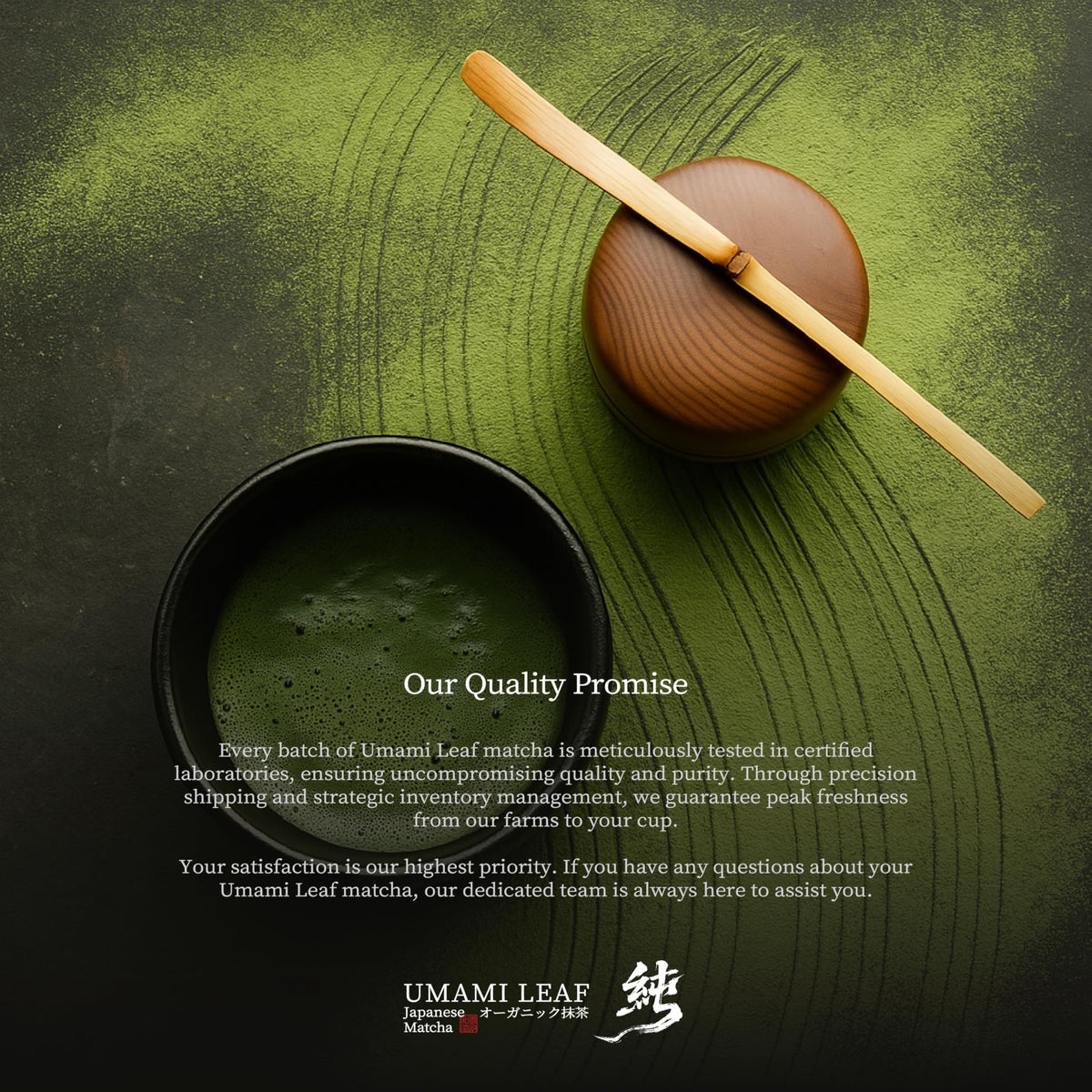 Organic Japanese Matcha Powder (1.4 Ounce (Pack of 1))