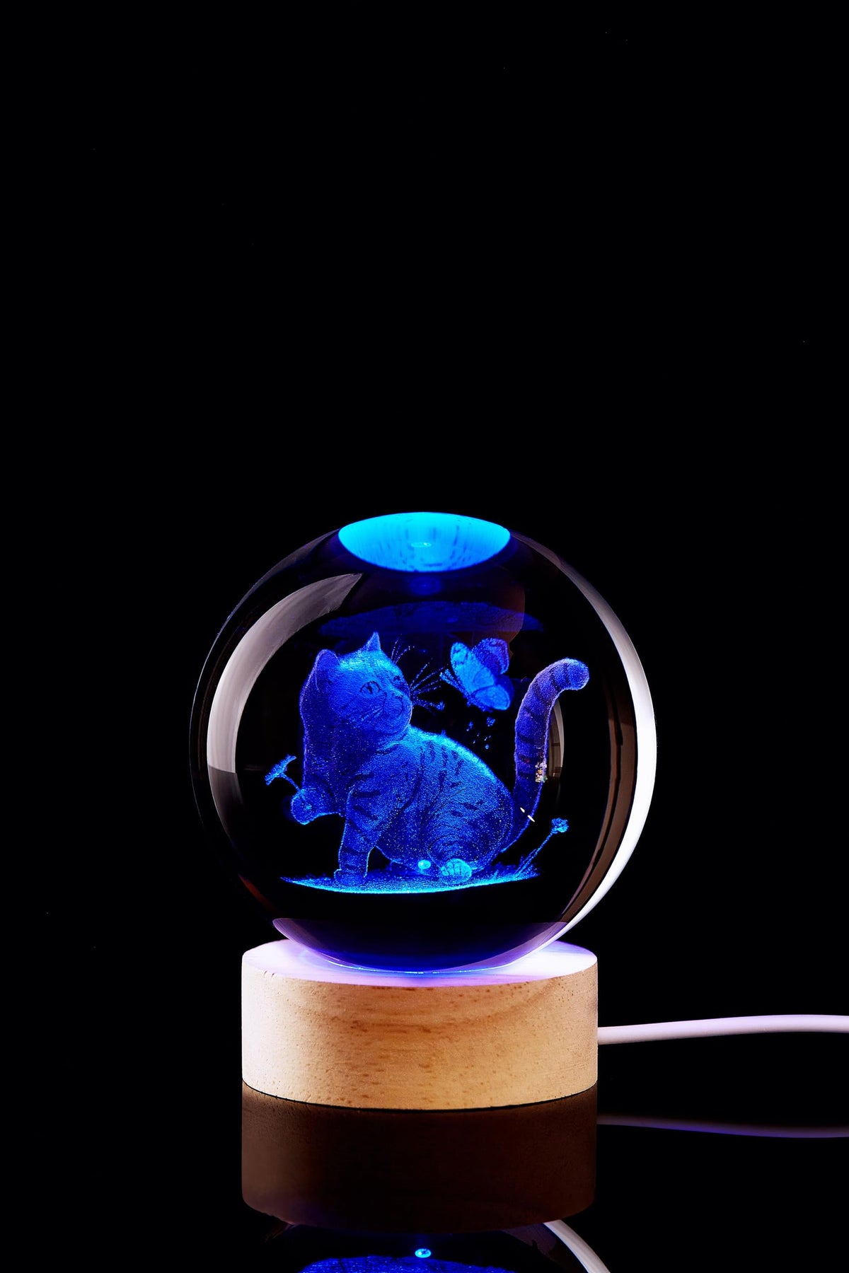Large Cat Crystal Ball Night Light with Wooden Base (cat)