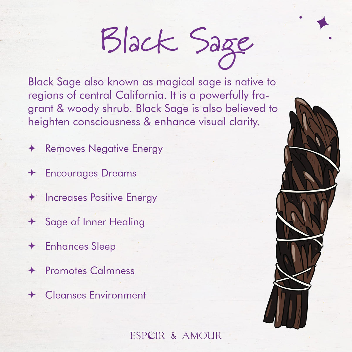 Black Sage 4" (3 PIECES)