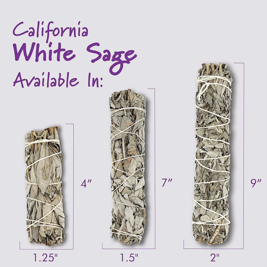 White Sage 4" (4 Inch / 50 PIECES)
