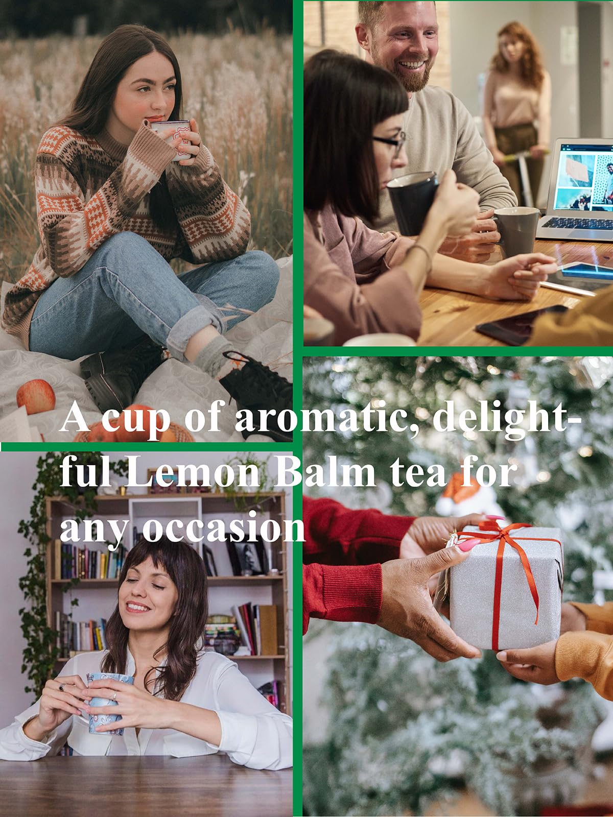 Organic Lemon Balm Tea Bags