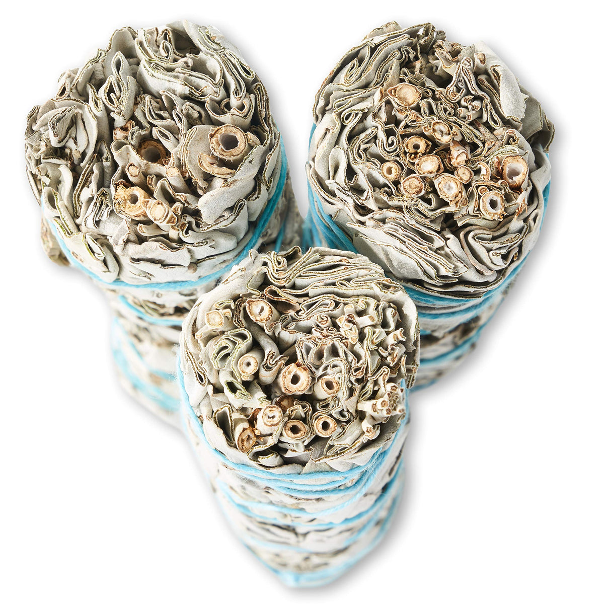 White Sage Smudge Sticks (6 Pack)