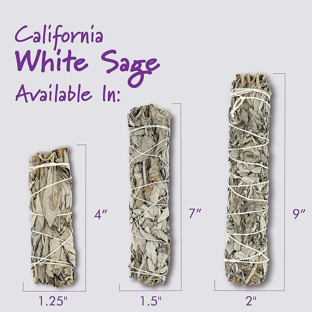 White Sage 4" (4 Inch / 12 PIECES)