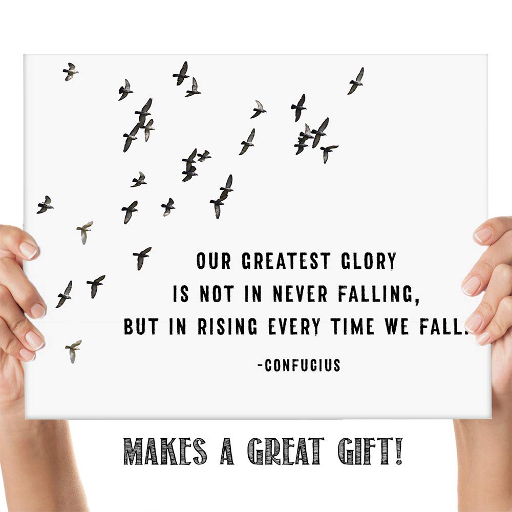 Confucius Inspirational Spiritual Quotes Wall Art Decor (Bird Flock)