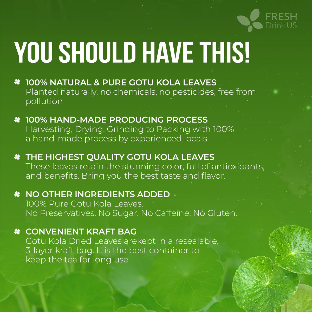 Premium Gotu Kola Leaves Tea (1 Count)