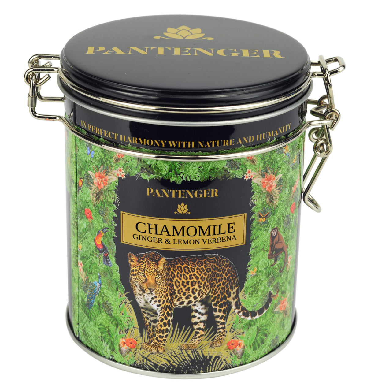 Organic German Chamomile & Ginger Herbal Tea