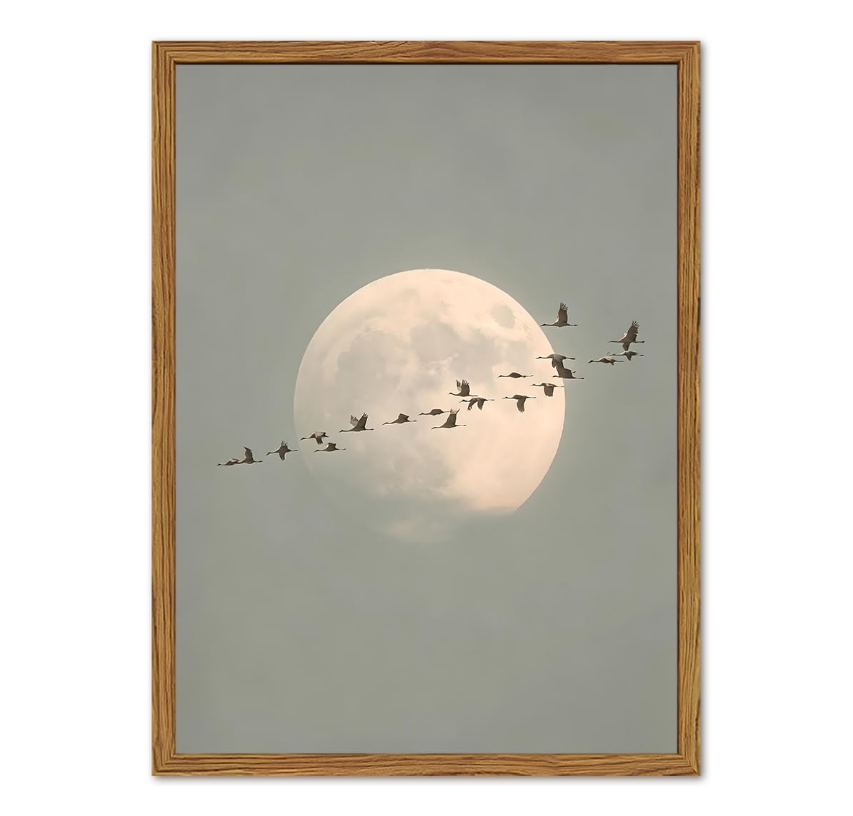 Framed Vintage Bird Wall Art (Moon Bird / 24"L x 16"W)