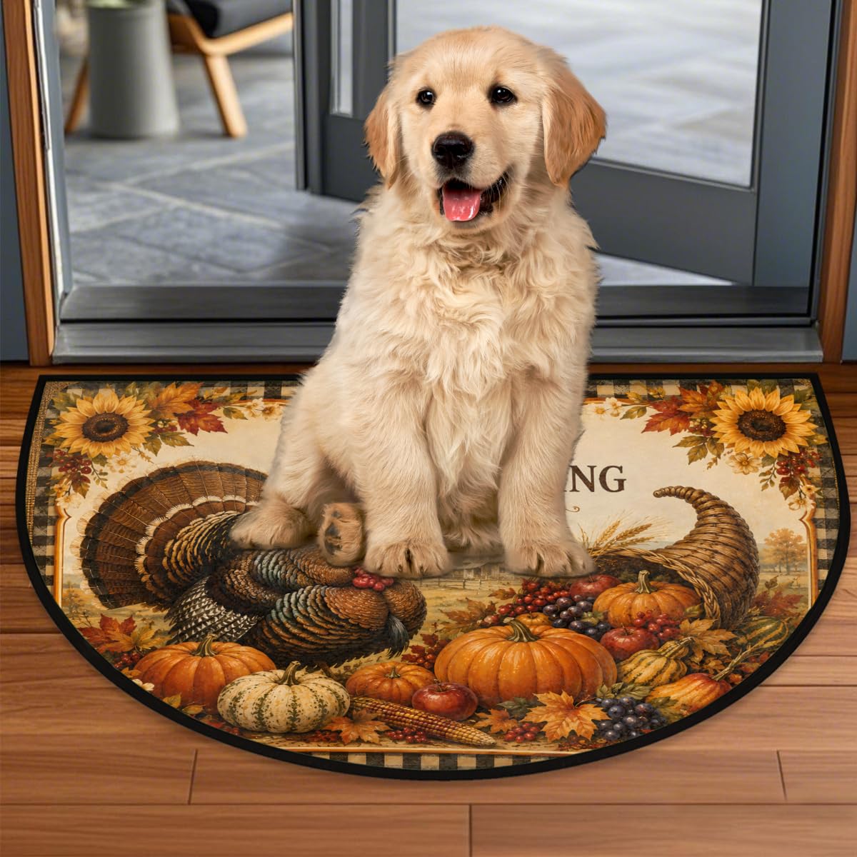 Turkey Half Round Door Mat Semi Circle Rug Half Moon Doormat (B:b-15)