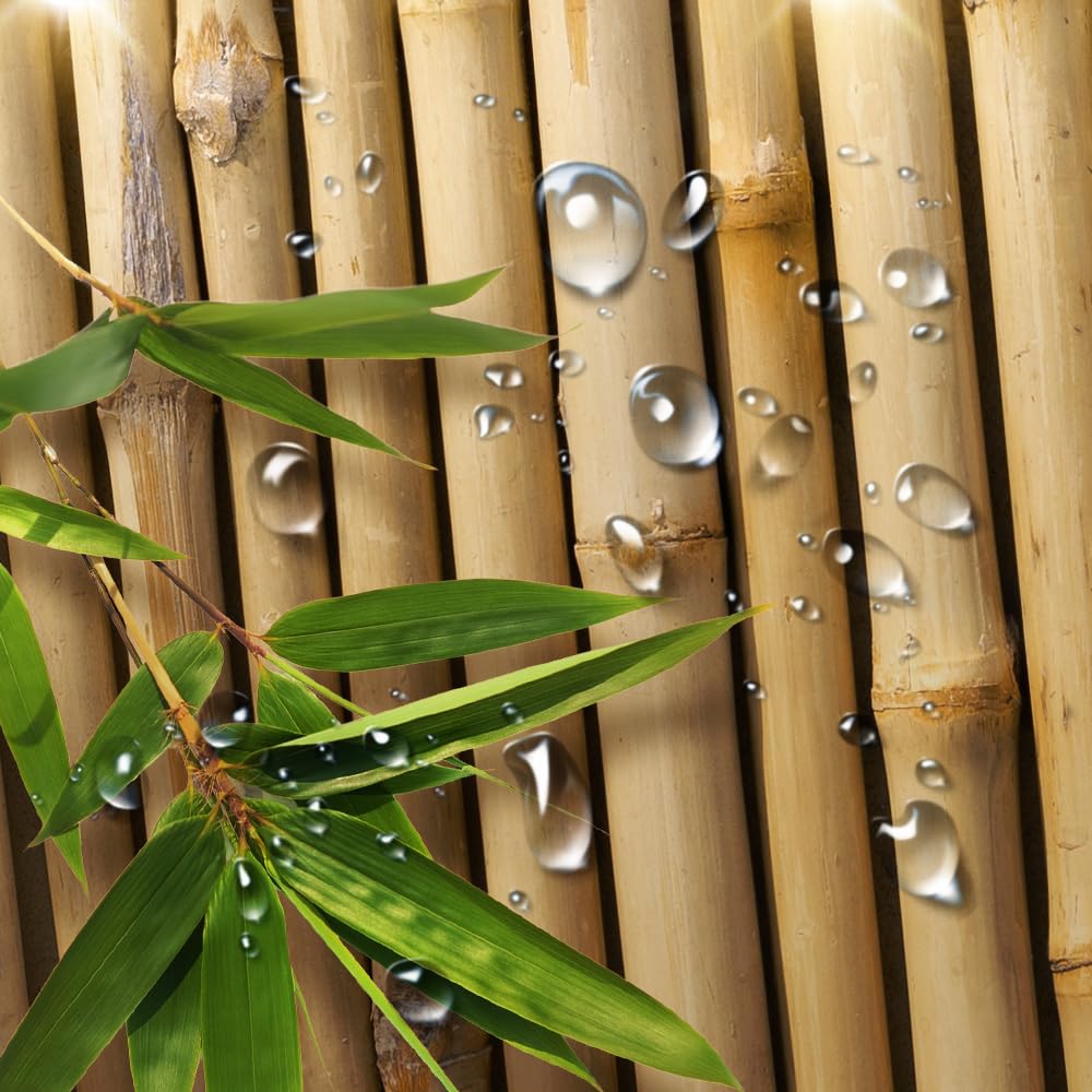 Bamboo Shower Curtain (Brown-02 / 36"W x 72"L (Pack of 1))