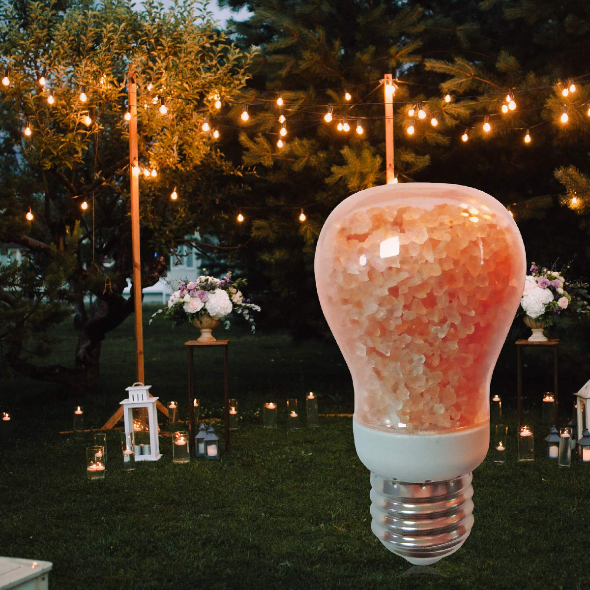 60 Watt Salt Light Bulb (LED Salt light bulb (Pack of 1))