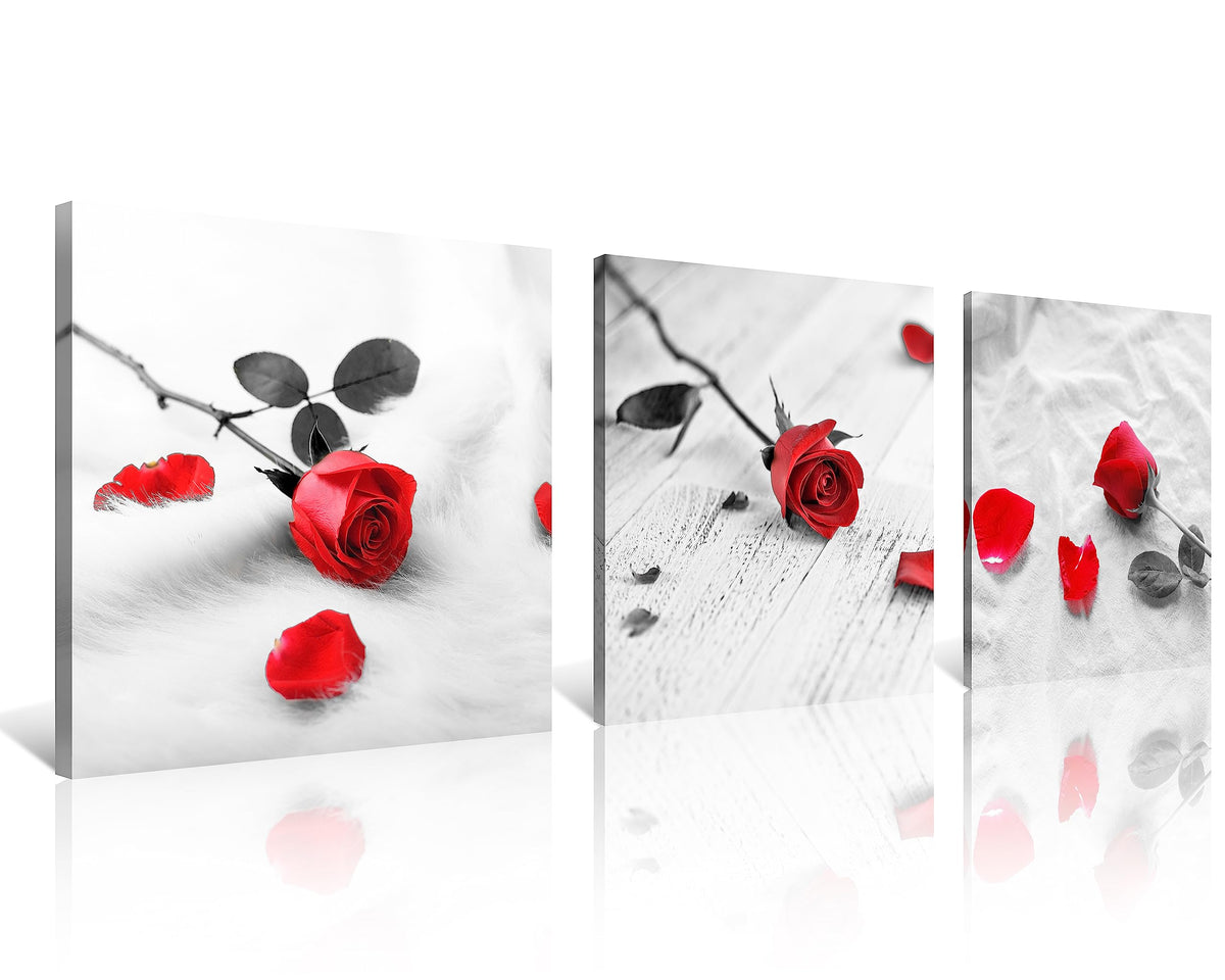 3 Pcs Modern Canvas Painting Black and White Red Rose Canvas Art Painting Abstract Wall Art Decorations Flower Picture on Canvas for Home Decor (14 x 14 inches (3-Piece Set) / C-Rose)
