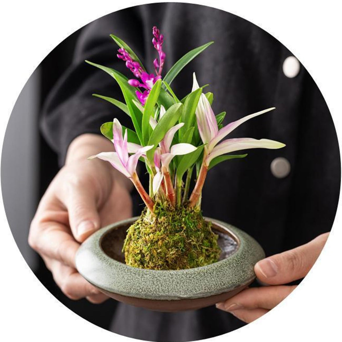 Ikebana Vase Kit Ceramic Flower Frog Vase with Stainless Kenzan Japanese Ikebana Flower Arrangement Pot for Floral Displays Moss & Hydroponic Plants Zen Decor Gift (Green Small Size)