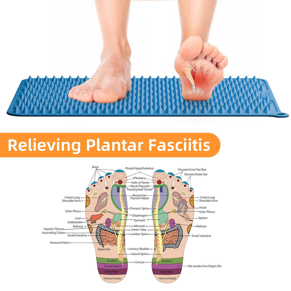 Acupressure Mat for Foot Massage (Blue)