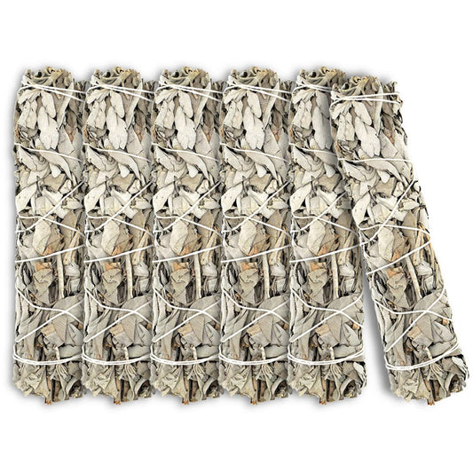 White Sage 7" (7 Inch / 6 PIECES)