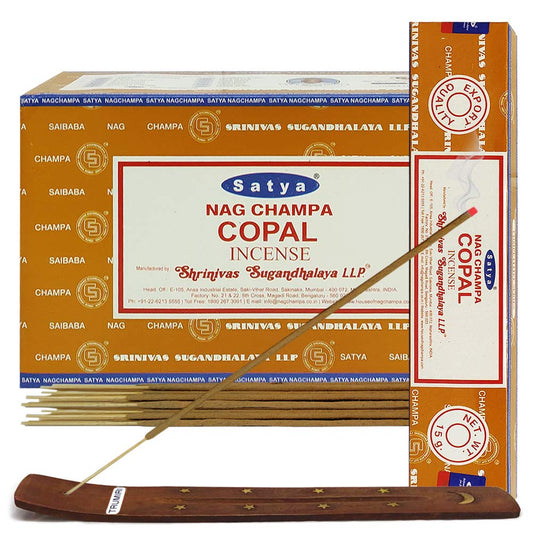 Copal Incense Sticks and Incense Stick Holder Bundle Insence Insense Satya (Copal)