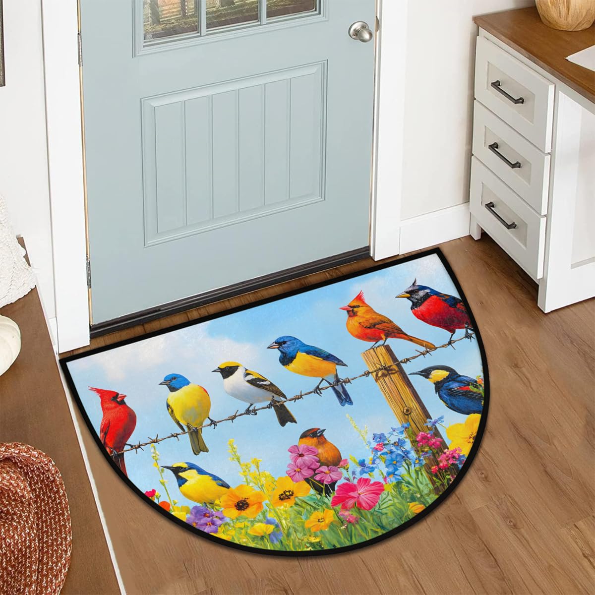 Front Door Mat Indoor Outdoor Entrance (A-11 Birds)