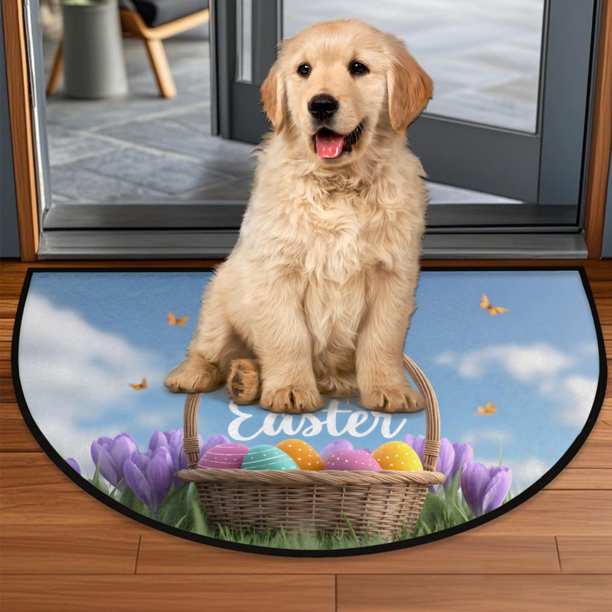 Front Door Mat Indoor Outdoor Entrance (C-01)