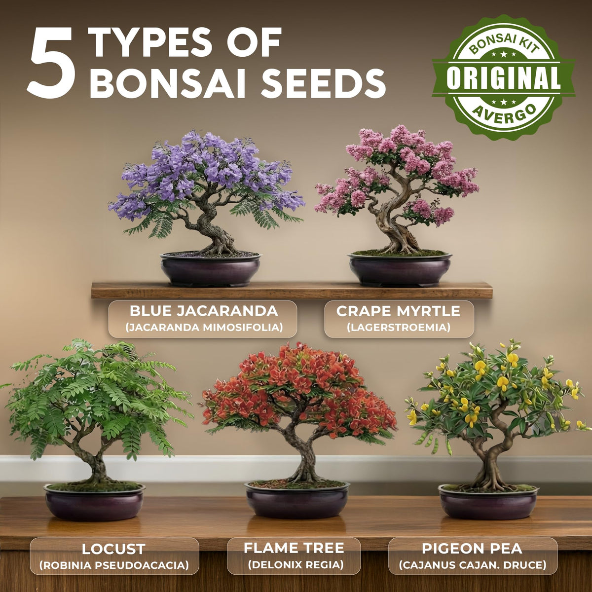Bonsai Tree Kit Deluxe