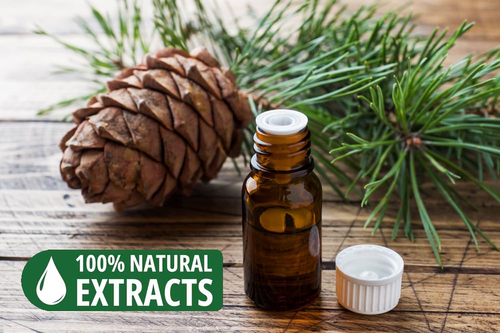 Bless Organic (Cedar / 25 Sticks (1.4 OZ/40 GM))