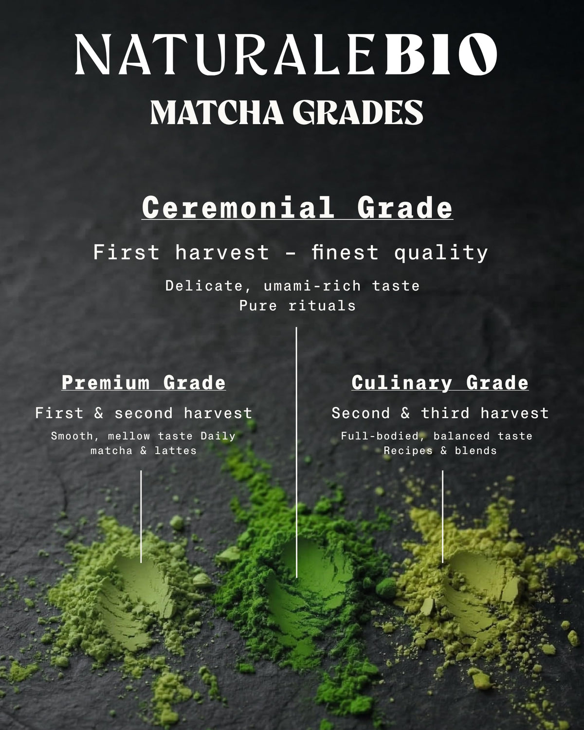 Organic Matcha Green Tea Powder