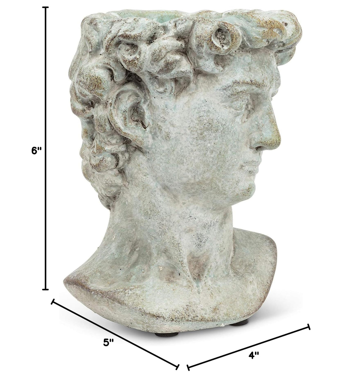 Extra Small Male Head Planter (Extra Small (6 Inch))