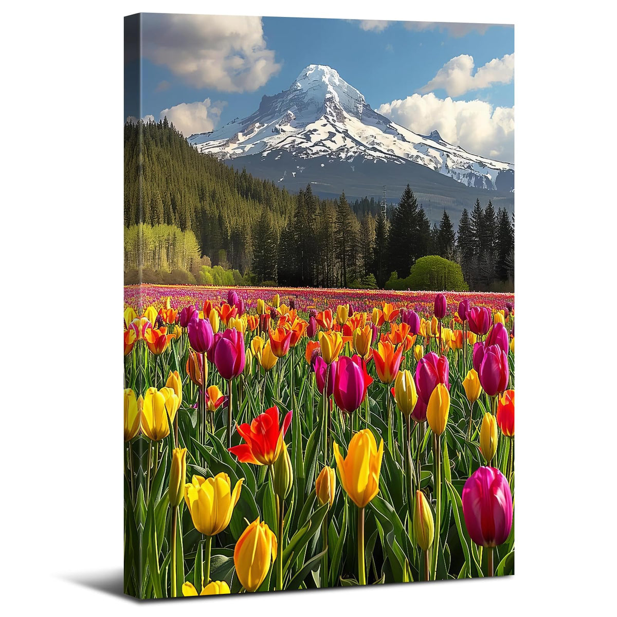 Mt Hood Mountain Wall Art Yellow Flowers Wall Decor Snow Mountains Landscape Canvas Prints Tulips Flower Field Scenery Pictures Nature Forest Artwork for Bedroom Living Room Home Decoration 12x16" (16"L x 12"W / YellowTulips)