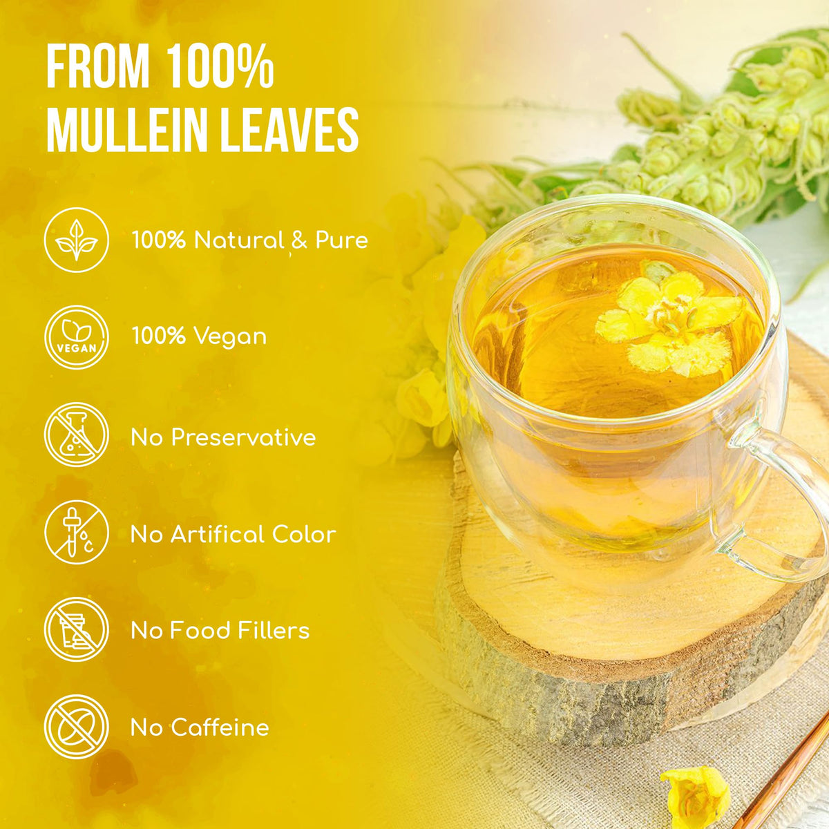 Premium Mullein Leaf Tea (1 Count)