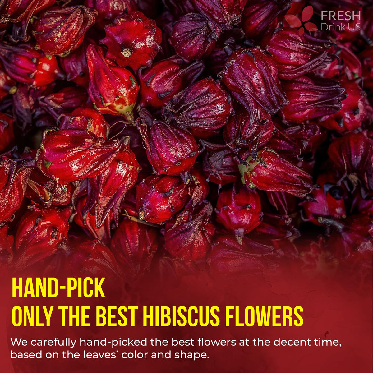 Premium 10 Hibiscus Flowers Tea Bags (10 Tea Bags)