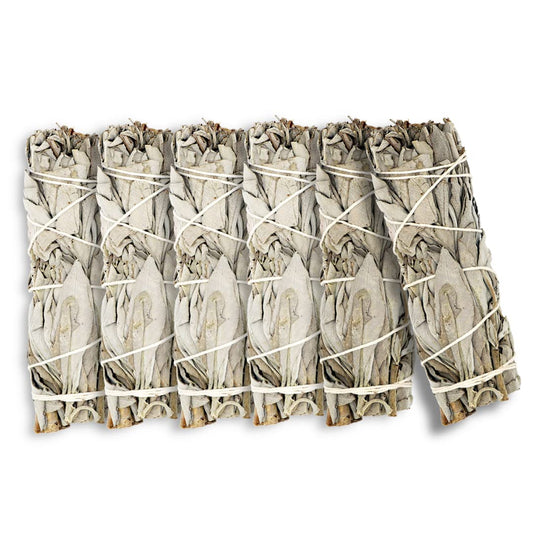 White Sage 4" (4 Inch / 6 PIECES)