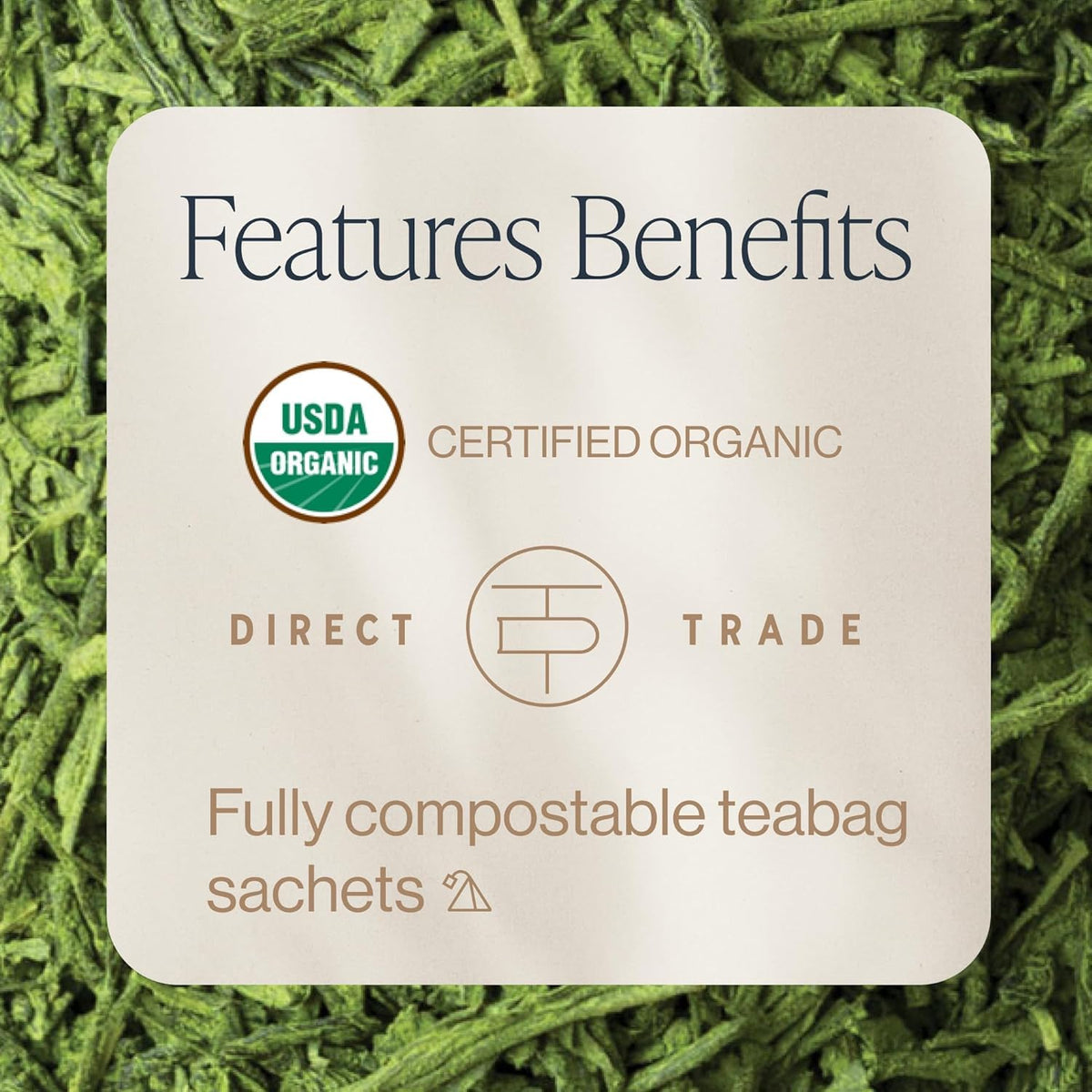 Matcha Super Green Tea (15 Count (Pack of 1))