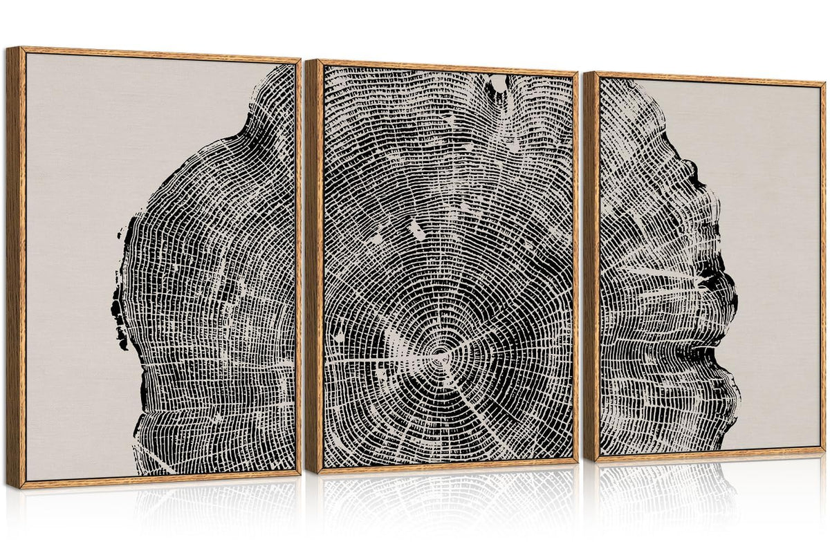 Framed Tree Ring Wall Art Set of 3 (Black Tree Ring / 24"L x 36"W)