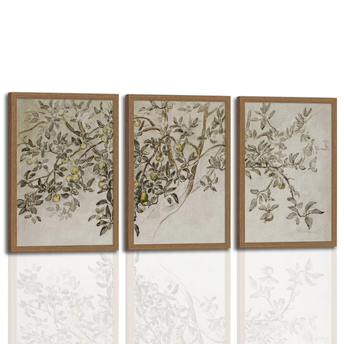 3Pcs Vintage Botanical Sketch Wall Art Neutral Farmhouse Apple Tree Prints (Apple Tree Branches / 16x24 Inches)