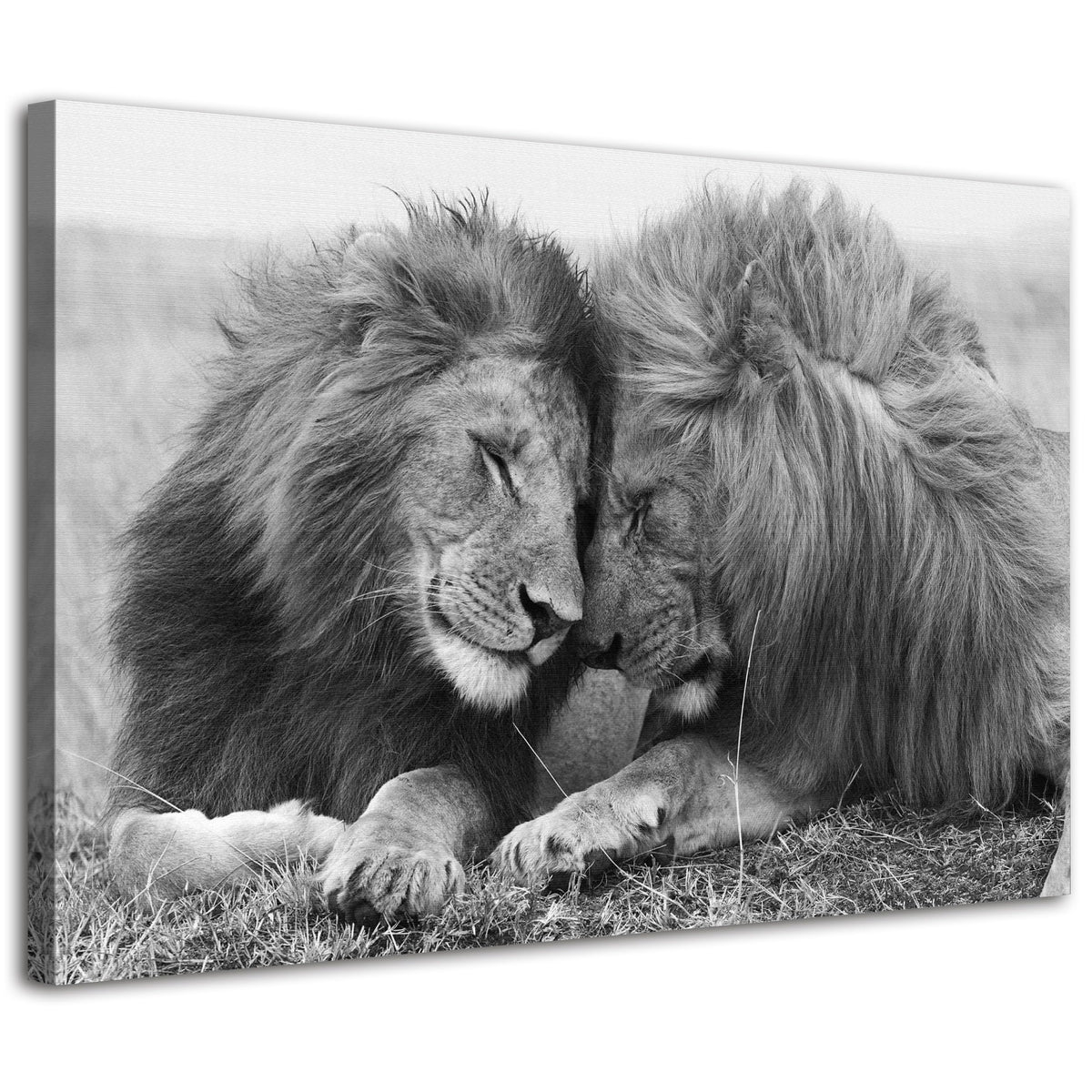 Lion Canvas Wall Art Black and White Lioness Pictures Bathroom Decor Minimalist Wild Animals Poster Prints Painting Grey Portrait Artwork for Living Room Office Decorations 16x24" (24"L x 16"W / BKLION)