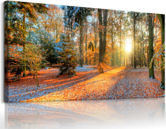 Living Room Wall Art Decor Forest Canvas Print Autumn Poster Sunset Tree Picture Modern Panel Natural Landscape Painting Fall Scenery Artwork for Bedroom Kitchen Office Home Wall Decor (Fsunset / 40"L x 20"W)