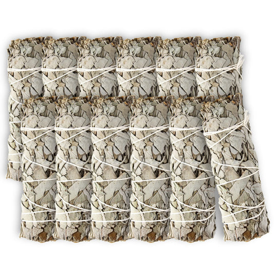 White Sage 4" (4 Inch / 12 PIECES)
