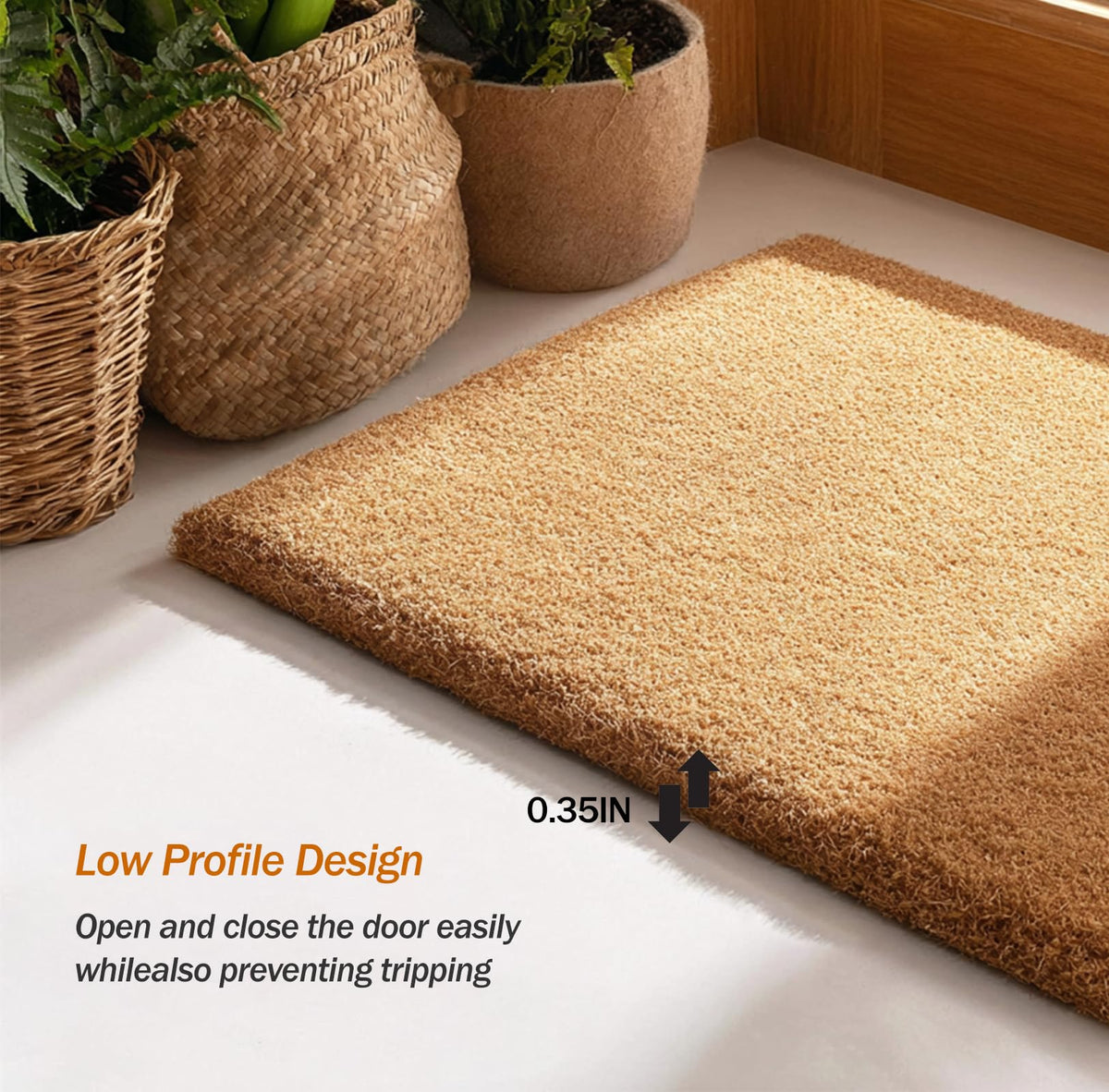 Raccoon Doormat (Raccoon)