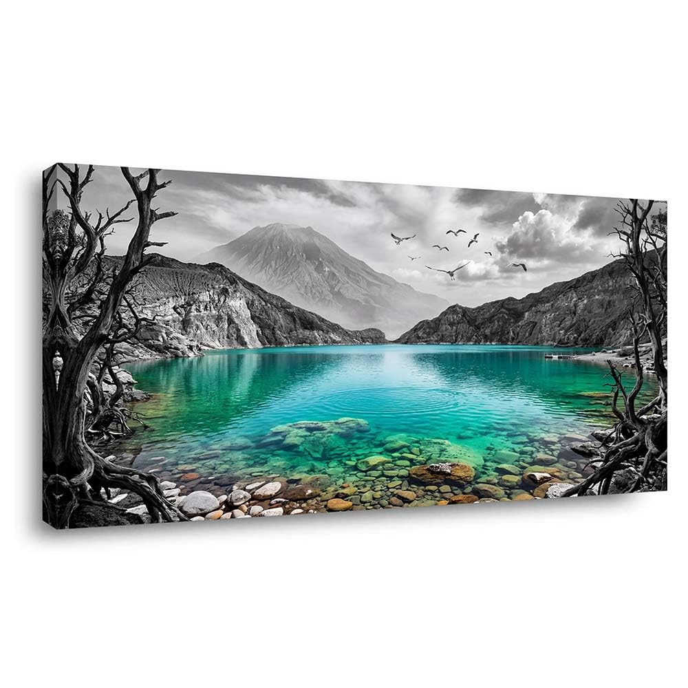 Black and White Mountain Canvas Wall Art Colorful Tropical Floral Lake Landscape Painting Flat Print Gallery Wrapped Artwork for Living Room Bedroom Bathroom Decor (Mysterious / Black Mountain Lake 19 / 40"L x 20"W)