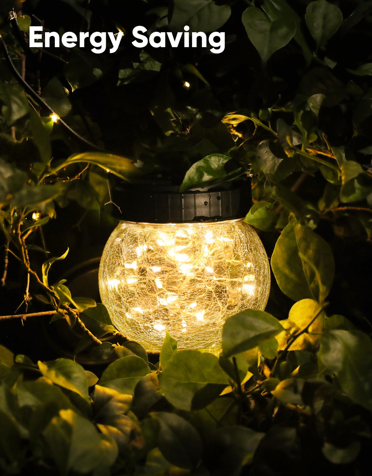Solar Lantern Solar Lights Outdoor Waterproof 2 (Black Cap Warm White Light / 2 Pack)