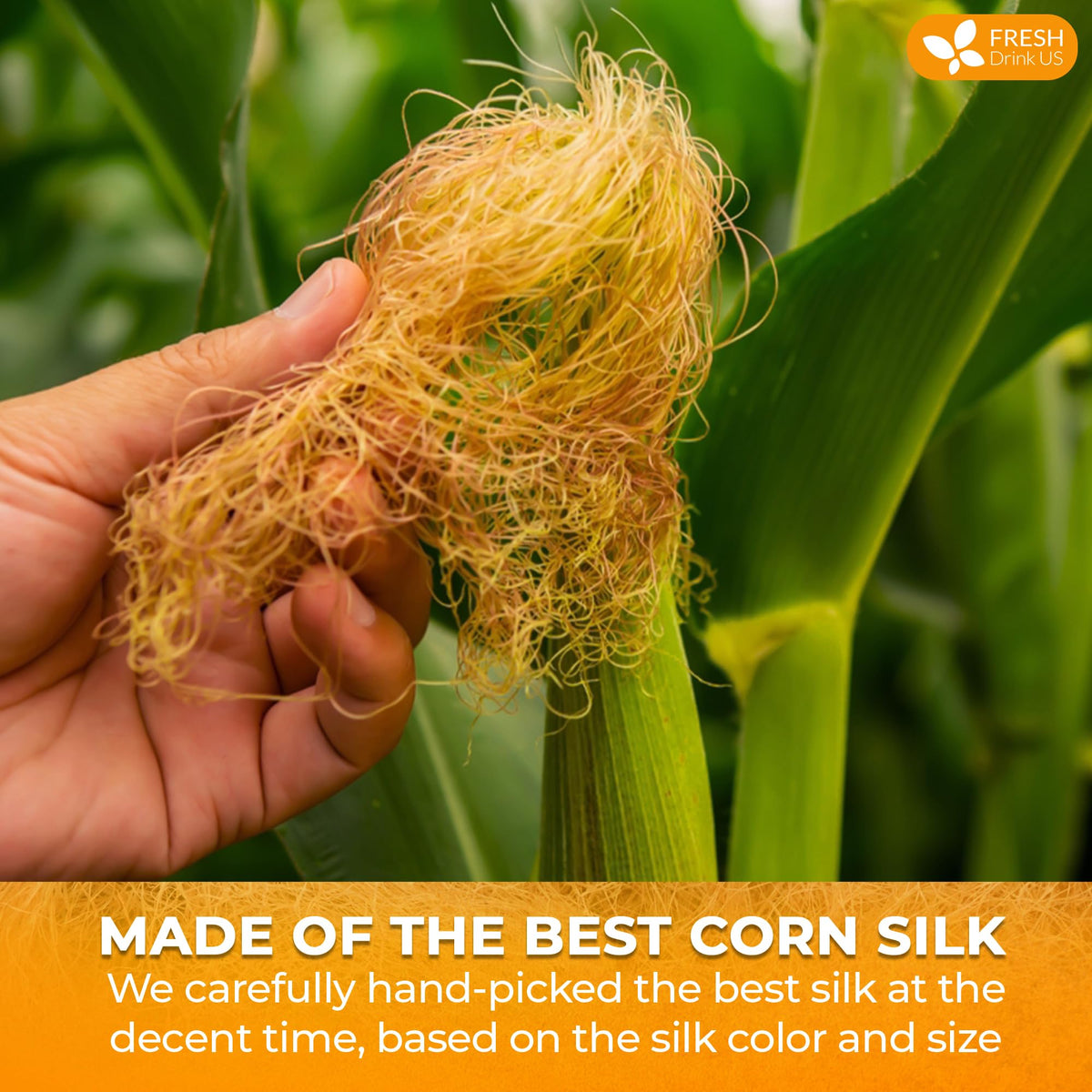 Premium Dried Corn Silk (20oz)