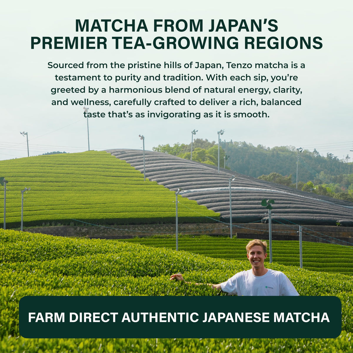 Tenzo Matcha Green Tea Powder (1.06 Ounce (Pack of 1))