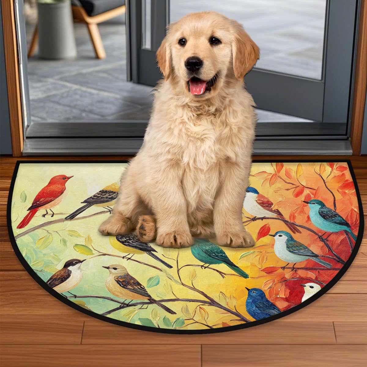 Front Door Mat Indoor Outdoor Entrance (A-2 Vintage Bird)