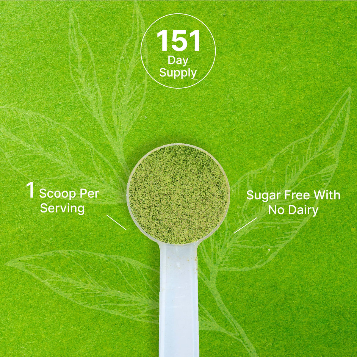 Organic Matcha Green Tea Powder (16 Ounce (Pack of 1))
